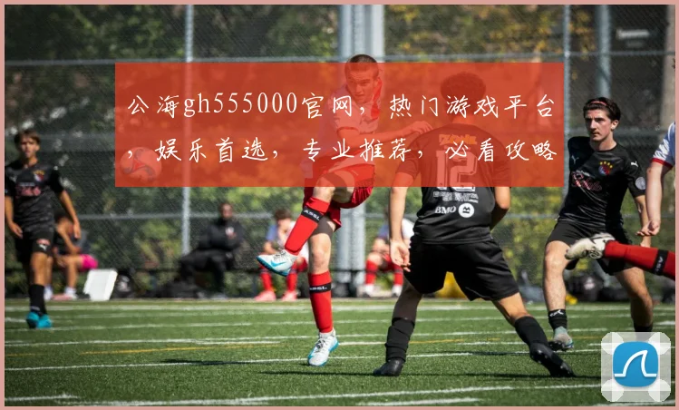 公海gh555000官网，热门游戏平台，娱乐首选，专业推荐，必看攻略，精彩不断