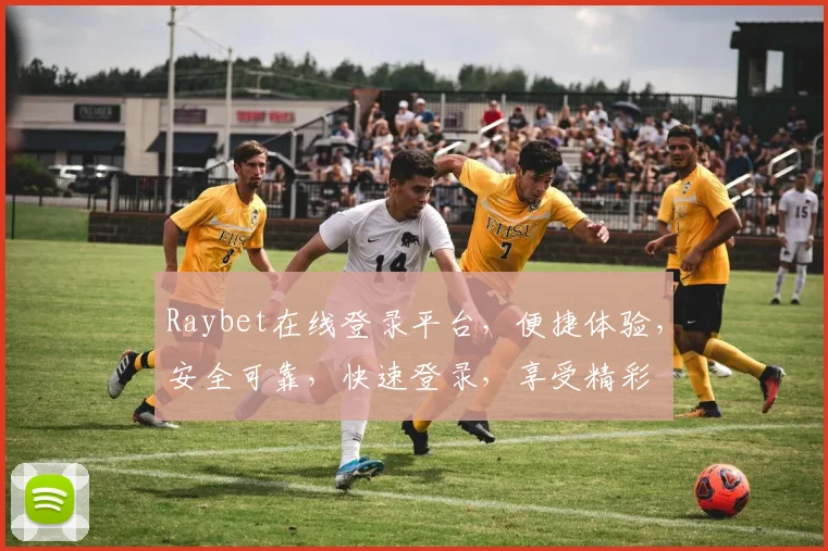 Raybet在线登录平台，便捷体验，安全可靠，快速登录，享受精彩